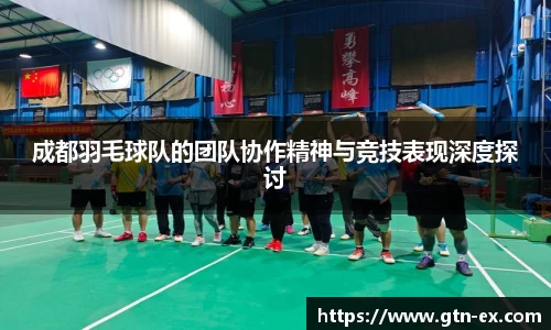 成都羽毛球队的团队协作精神与竞技表现深度探讨
